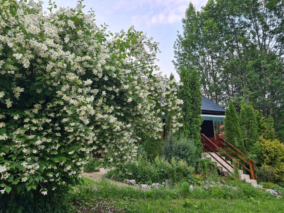Villa House Poljana Plitvička Jezera Esterno foto